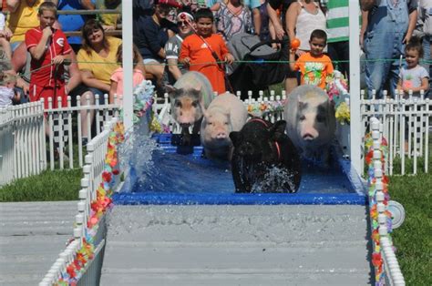 Photos Of Preble County Pork Festival Dayton Festivals