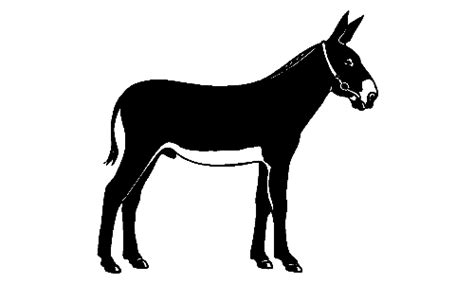 Mule Sticker Decal 123