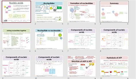 Nucleic Acids Nucleotides And Atp Alevel Biology Foundations In