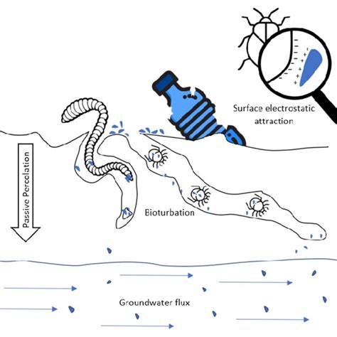 Characteristics Of Microplastics That Influence Their Transport