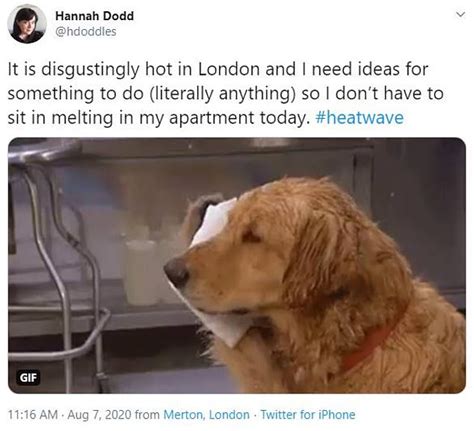 UK Weather: Twitter users share funny memes in 99F heatwave - ReadSector