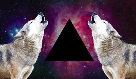 Galaxy Triangle Wolf Tumblr