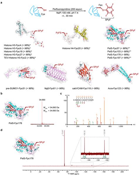 Site Selective Chemical Introduction Of The Fpc Sidechain Into