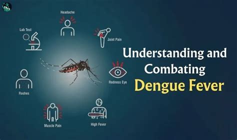 Combatting Dengue Fever: Comprehensive Guide