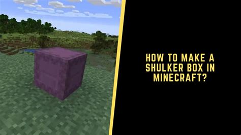 A Complete Guide About How To Make A Shulker Box In Minecraft