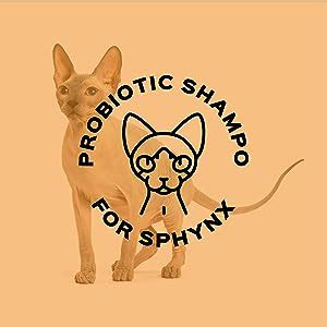 Kotomoda Probiotic Shampoo For Sphynx Cats 4 22 Amazon Ca Pet Supplies