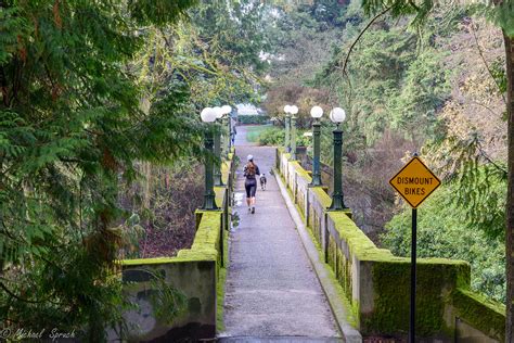 Washington Park Arboretum, Seattle Washington on Behance