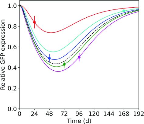 Comparison Of Model Predictions Using A Single Time Point Fit Of