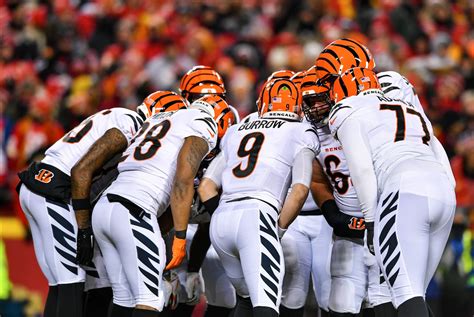 Cincinnati Bengals Lose Afc Championship But Promise To Keep Building