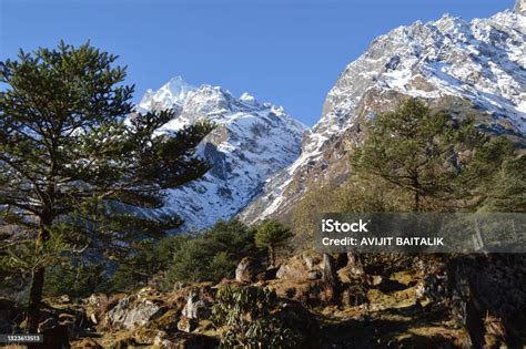 beauty  mountain sikkim india stock photo  image