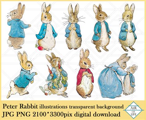 Peter Rabbit Illustrations Clipart Digital Download | Etsy New Zealand