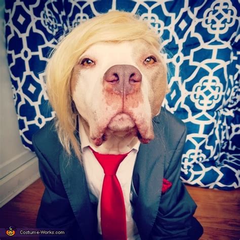 Donald Trump Dog Costume