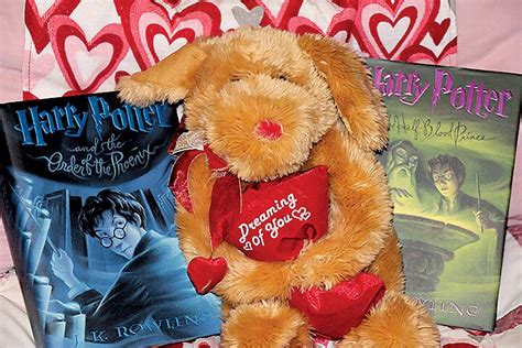 Valentines Day Through The Adventures Of Harry Potter Mukilteo Beacon