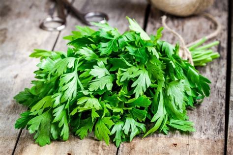 Chlorophyll Benefits: Improved Digestion And Faster Wound Healing