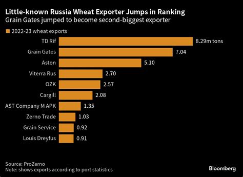 Russias Grain Exports Impact On Global Food Security And Market