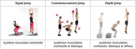 Comment Am Liorer Sa D Tente Musculaire Avec La Pliom Trie