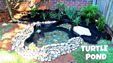 How to Build Turtle Pond? - Turtlean