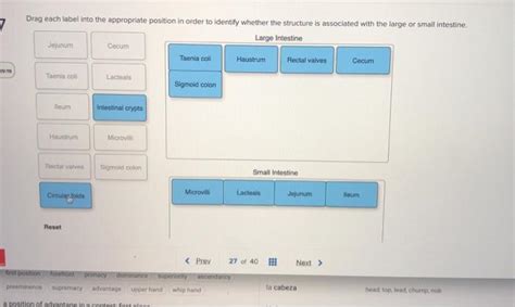 Drag Each Label Into The Appropriate Position In Order To Identify