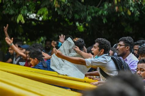 La Amazon A Perdi En A Os Un Rea De Vegetaci N Nativa Del Tama O