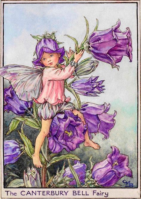 The Canterbury Bell Fairy Flower Fairies Of The Garden Fairy