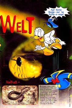 430 idées de Donald duck nude scenes picsou disney personnage disney