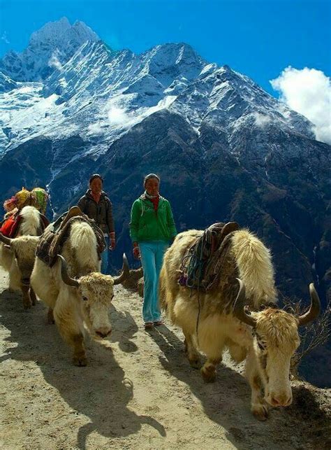 Tripadvisor Nepal Sagarmatha National Parkhome Of Mount Everest