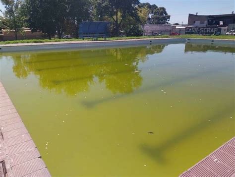 Ward 86 Councillor Chantelle Fourie Shawe Hopes Municipal Pool Will