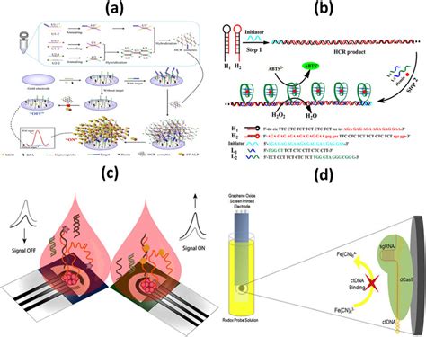 Schematic Representation Of A The Electrochemical Biosensor For The