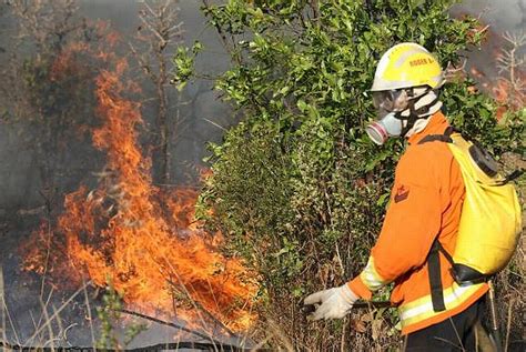 Incêndio De Grandes Proporções Atinge áreas Do Parque Nacional De Brasília