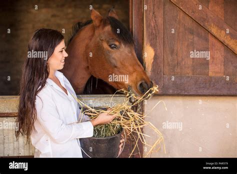 Smiling Woman Feeding A Horse On A Farm Stock Photo Alamy