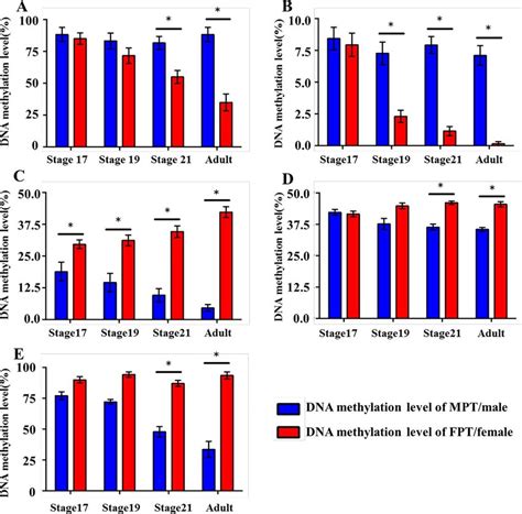 DNA Methylation Level Of CYP19A1 A FOXL2 B DMRT1 C SOX9 D