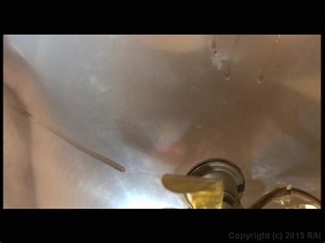 Adult Empire Award Winning Retailer Of Streaming Porn Videos On Demand Adult DVDs Sex Toys