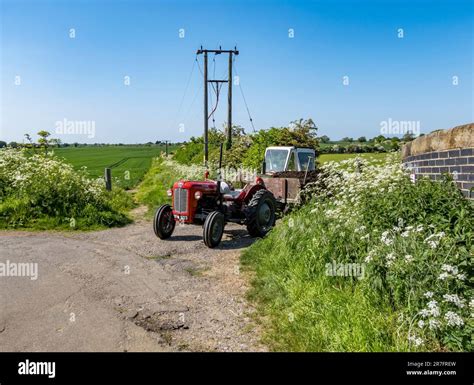 Massey Ferguson 35 Restaurierter Traktor Fotos Und Bildmaterial In