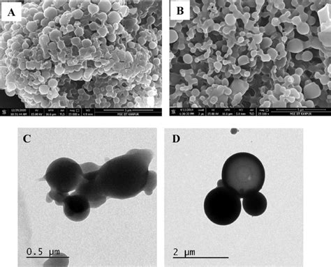 Micrographs Of Nps And Composite Nps A B Np Morphology Of Plga Nps