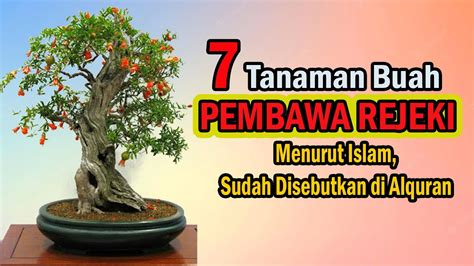 7 Tanaman Pembawa Rezeki Menurut Islam YouTube