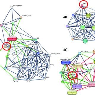 Hierarchical Clustering And Heat Map Of Differentially Expressed