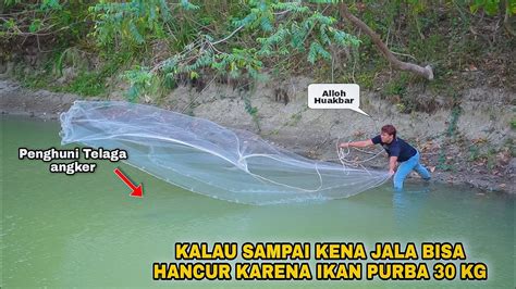 Mengerikan Ikan Purba Penghuni Telaga Tengah Hutan Sampai Panen Ikan