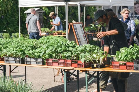 Une Bourse Aux Plantes Tr S R Ussie Claix