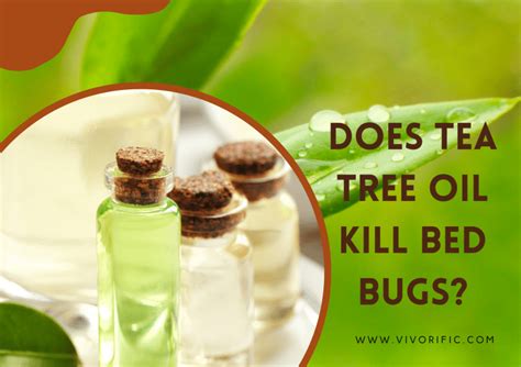 Does Tea Tree Oil Kill Bed Bugs