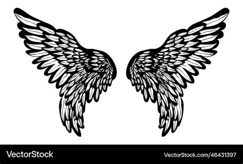 Hand-drawn sketch of angel and bird wings Vector Image