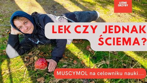 Muchomor czerwony grzyb leczy czy ŚCIEMA YouTube