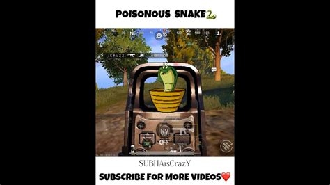 Poisonous Snake In Bgmi🐍🐍shorts Pubg Shortvideo Bgmi Youtubeshorts