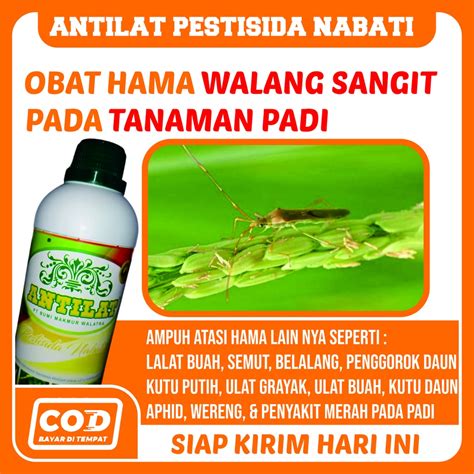 Jual Promo Cod Antilat Ml Pupuk Pestisida Organik Pembasmi Hama