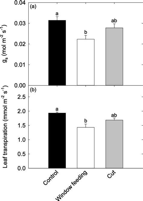 A Stomatal Conductance Gs B Leaf Transpiration In The Simulated