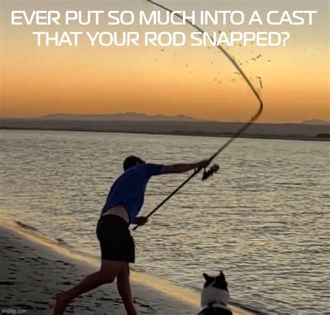 Image Tagged In Memes Funny Fishing Imgflip