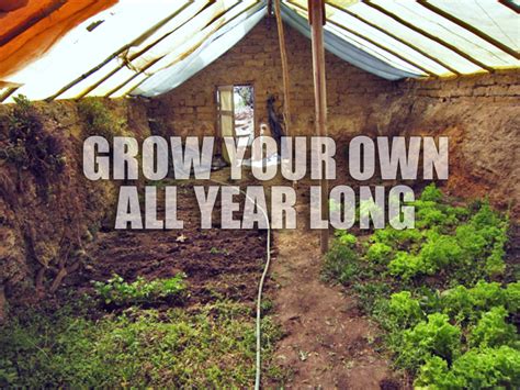 DIY How-to: Build a $300 in-Ground Greenhouse (w/ manual)