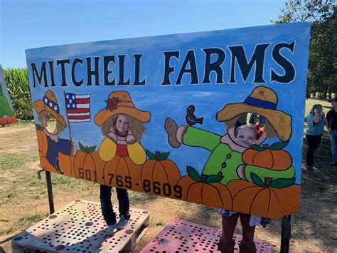 Pumpkin Patches In Mississippi Mitchell Farms Bull Bottom Farms