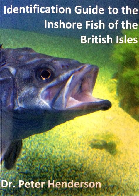 ID Guide To The Inshore Fish Of The British Isles Talk Sea Fishing