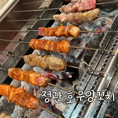 정관 호우양꼬치 푸짐한 세트메뉴 즐기기 네이버 블로그