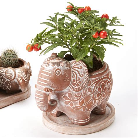 Terracotta Elephant Planter Planted Up One World Shop